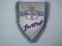 /album/sala/sala-tj-slovan-duslo-30-jpg/
